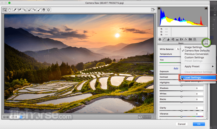 Adobe camera raw 9.1 download